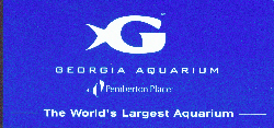 The Georgia Aquarium - Make sure you book in advance, come early, and enjoy the day!